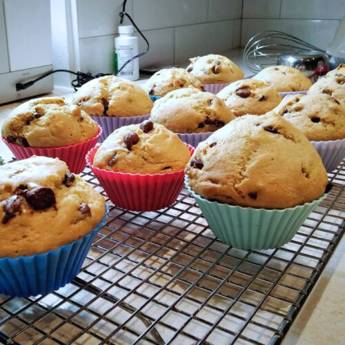 Chocolate Chip Muffins
